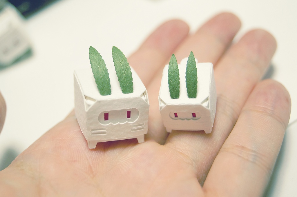 はこねこ ゆきうさぎのおやこ