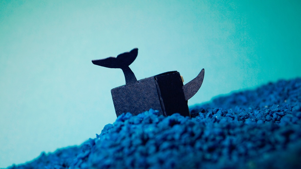 はこねこ くじら