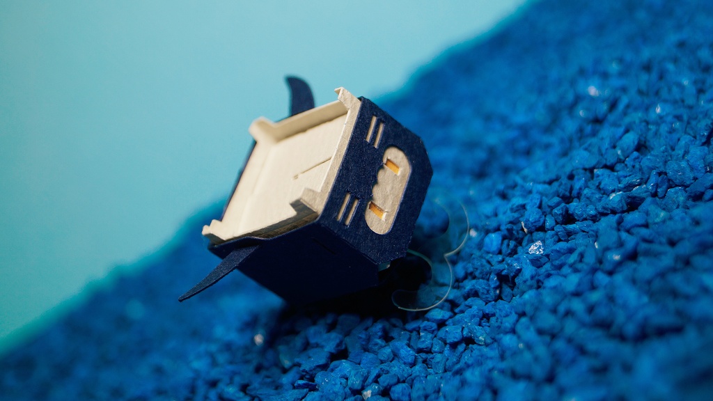 はこねこ くじら