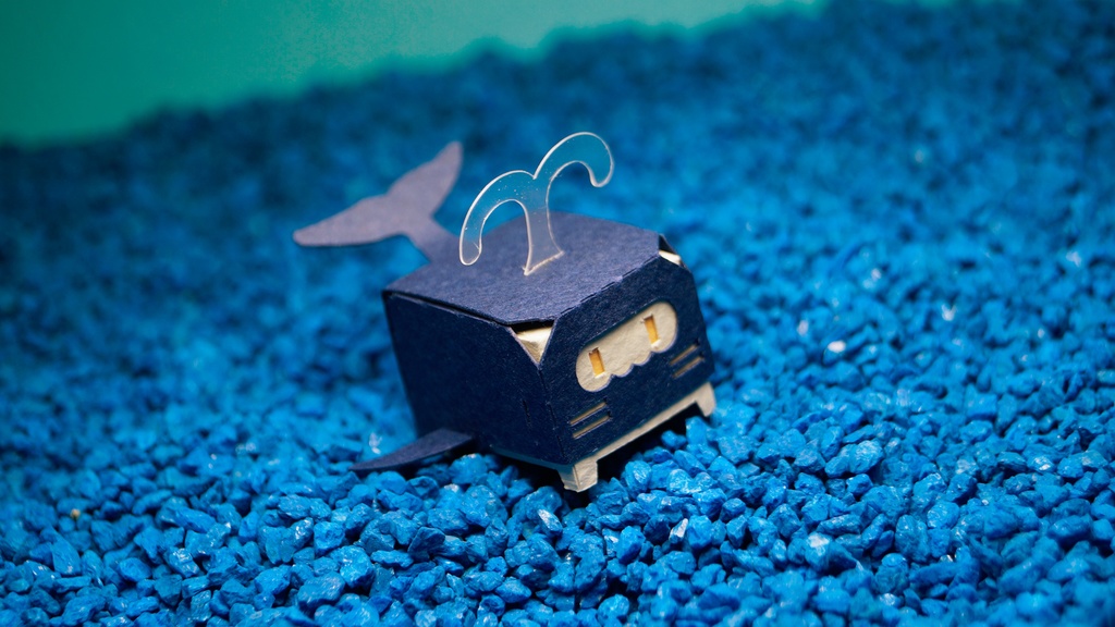 はこねこ くじら