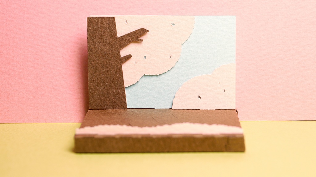 はこねこ メジロ