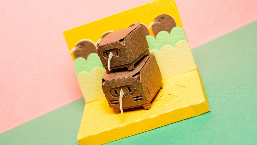 はこねこ キーウィのおやこ