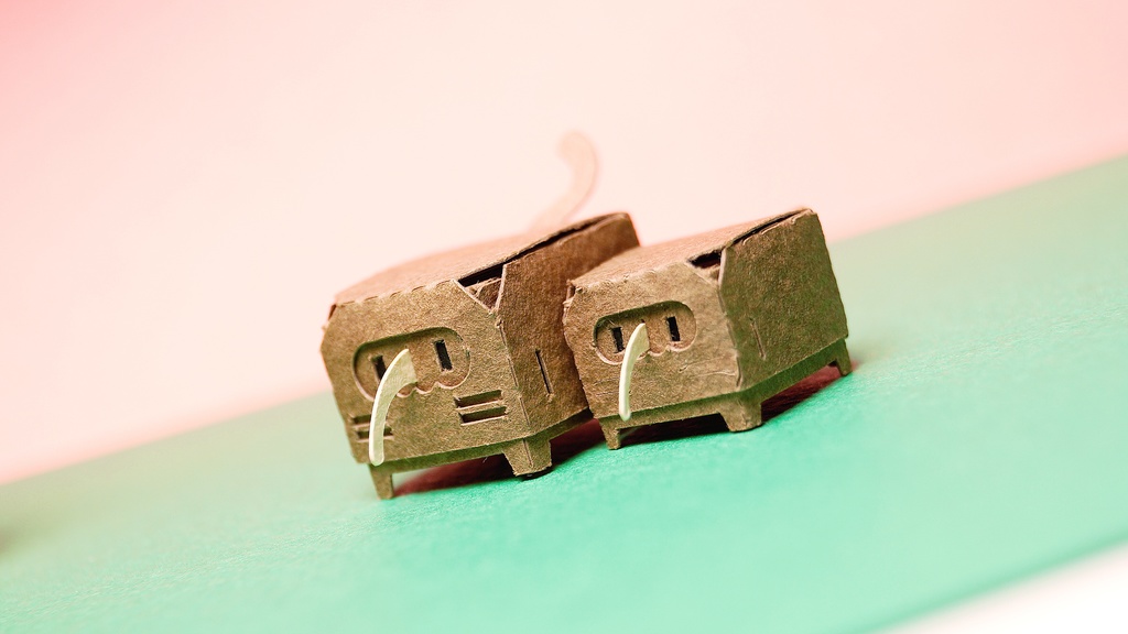 はこねこ キーウィのおやこ