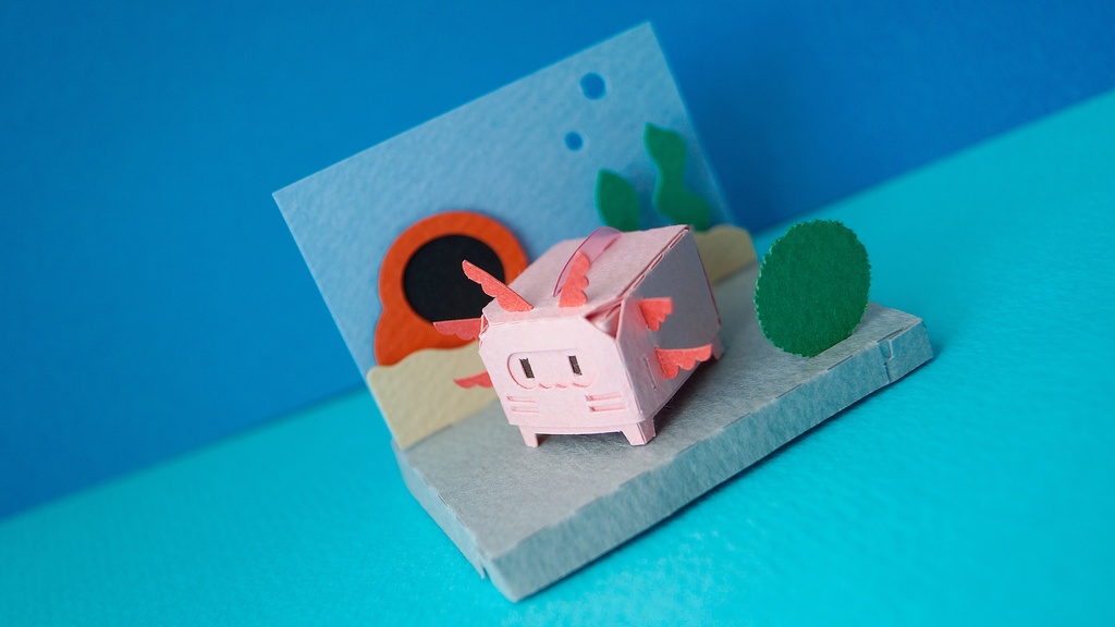 はこねこ ウーパールーパー