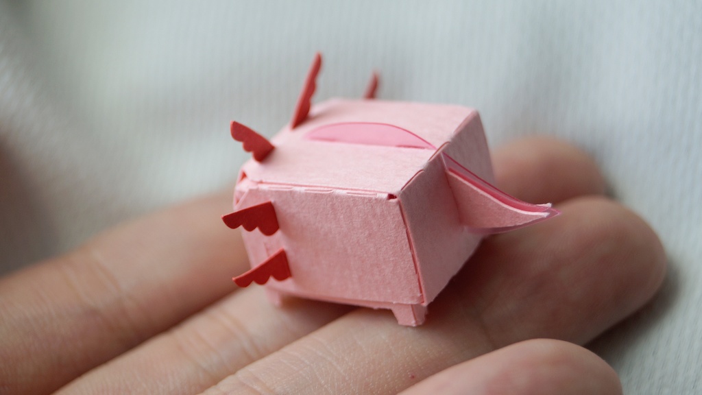 はこねこ ウーパールーパー