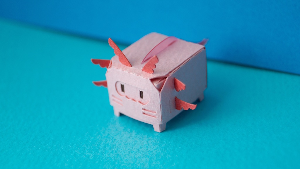 はこねこ ウーパールーパー