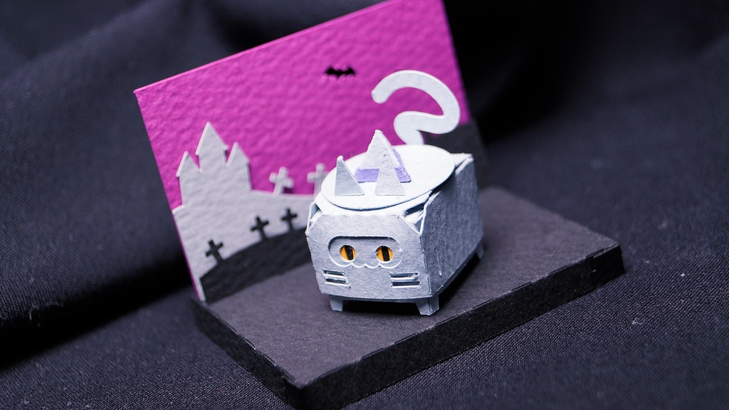 はこねこ いたずらねこ はいいろ