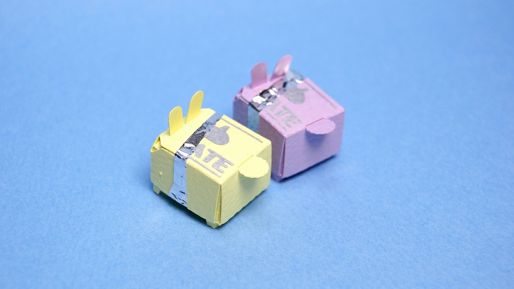 はこねこ チョコうさぎ ミモザ