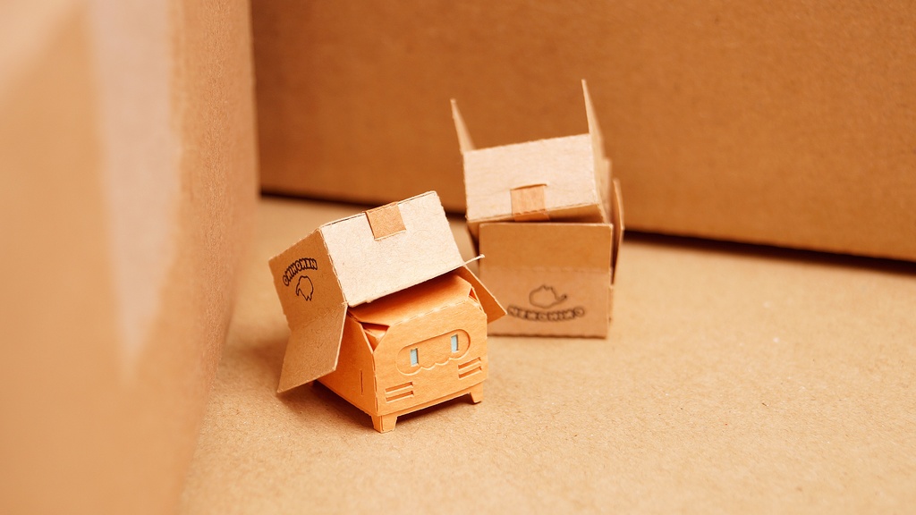 はこねこ ダンボールつむり ひだまり