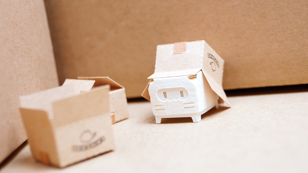 はこねこ ダンボールつむり しろ