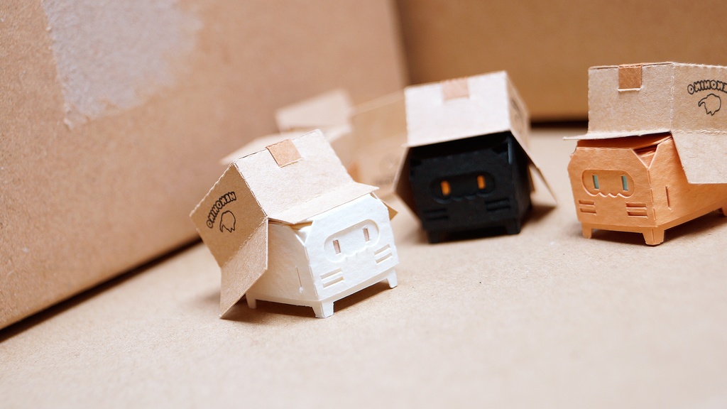 はこねこ ダンボールつむり しろ