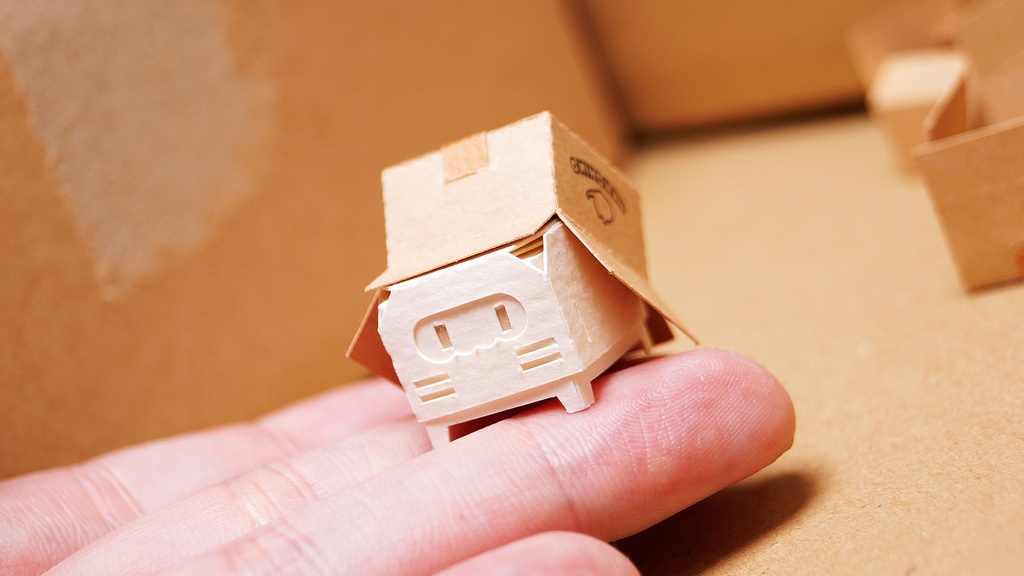 はこねこ ダンボールつむり しろ