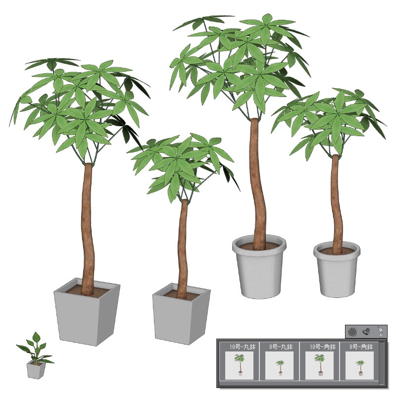 【3D素材】観葉植物