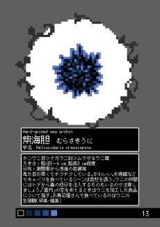 ジュウニ図鑑 海のいきもの