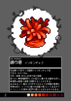 ジュウニ図鑑 海のいきもの