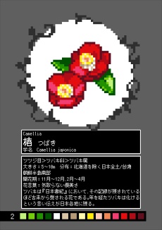 ジュウニ図鑑 植物(花)