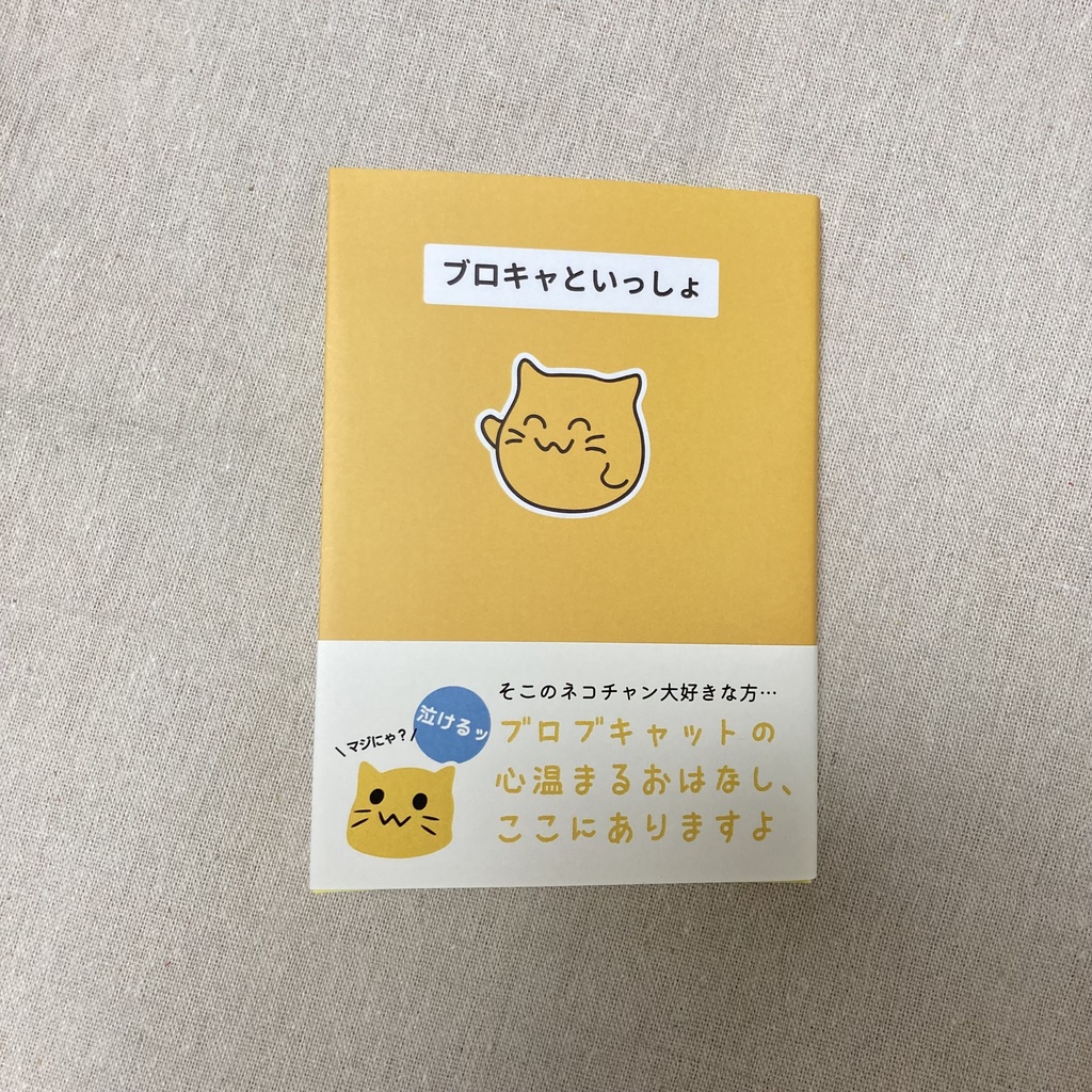 ブロキャといっしょ