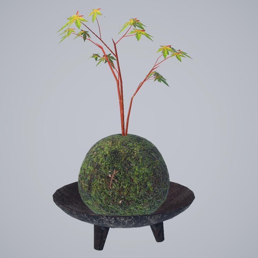 【3Dモデル】苔玉 -紅葉(もみじ)-