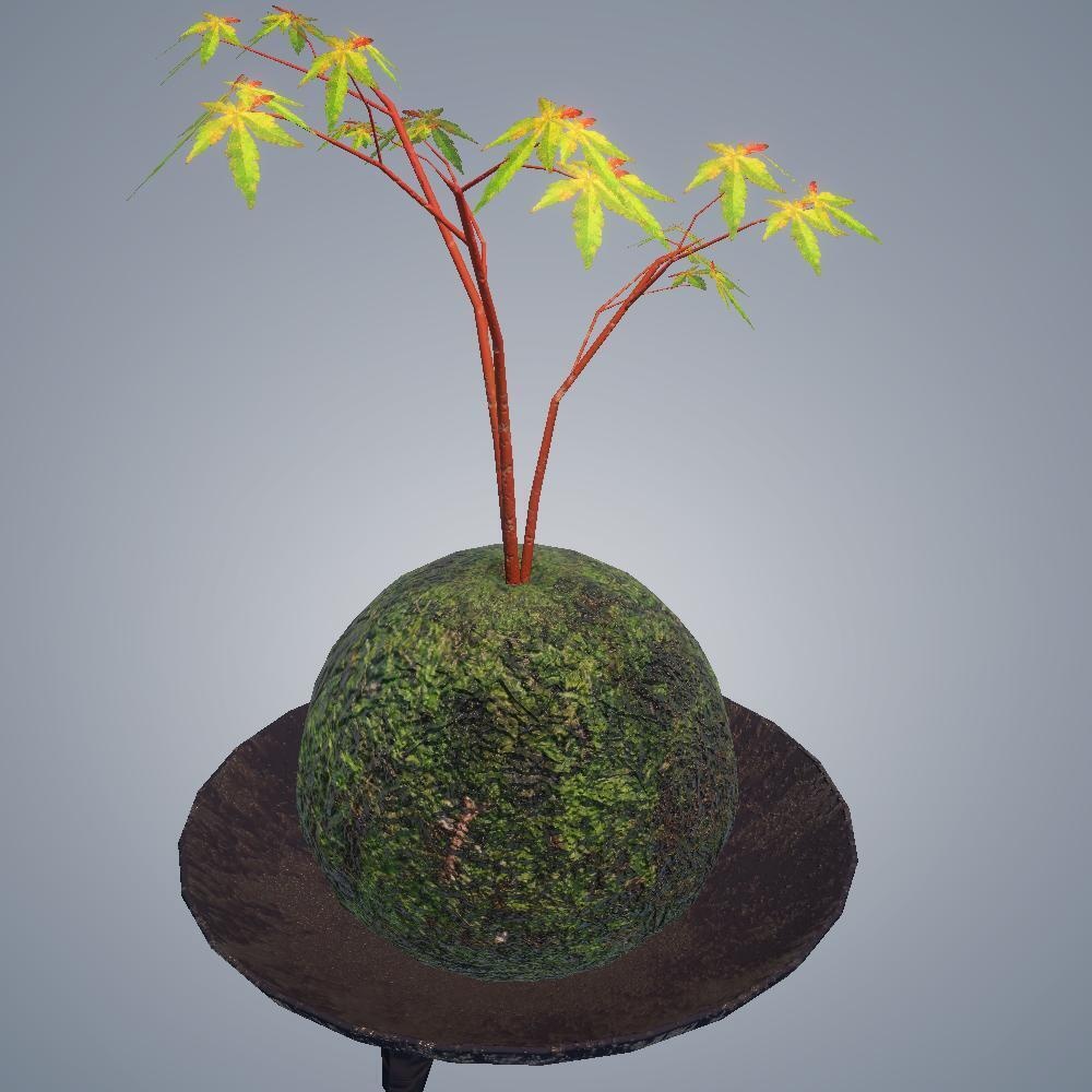 【3Dモデル】苔玉 -紅葉（もみじ）-