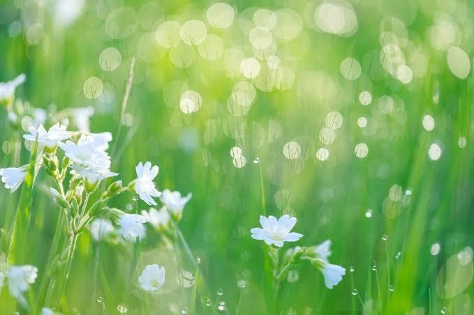 おはようボイス！( *´꒳`*)