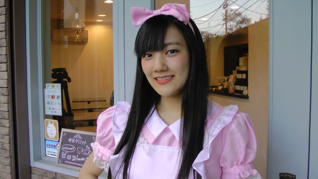 『エターナル・ハーミット The MOVIE ~妖魔退治やってまふ~』DVD