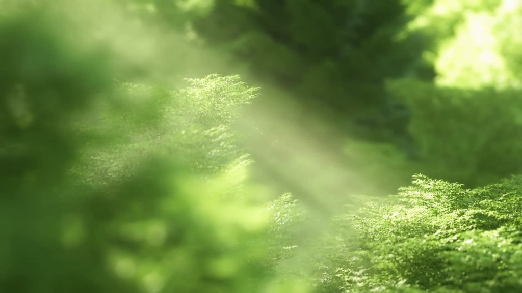 【最高音質MP3】薫風 - 心を調える静寂の凪【４３２Ｈｚ】１時間・睡眠瞑想作業用