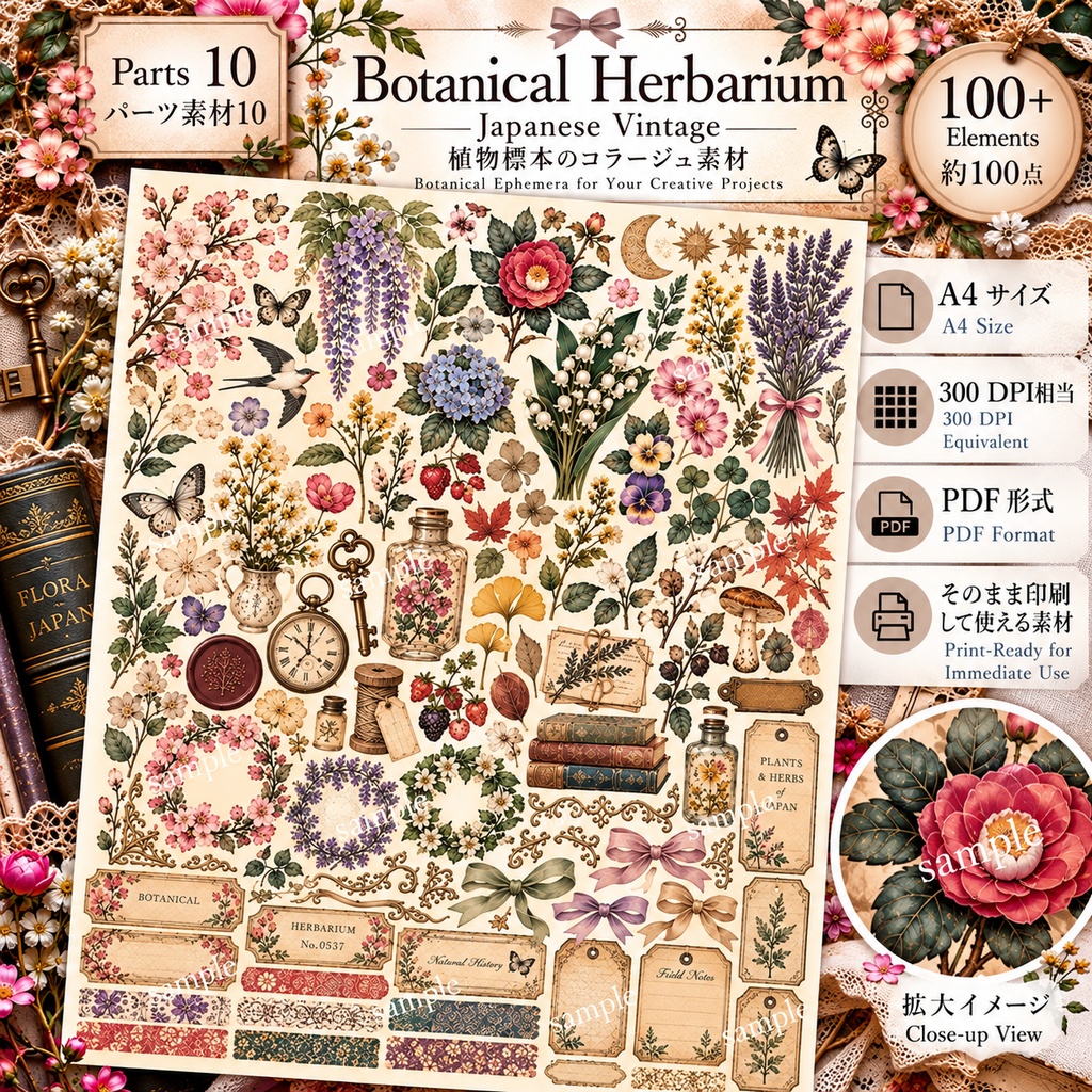 Japanese Botanical & Herbarium|ヴィンテージ植物標本 ジャンクジャーナル素材集