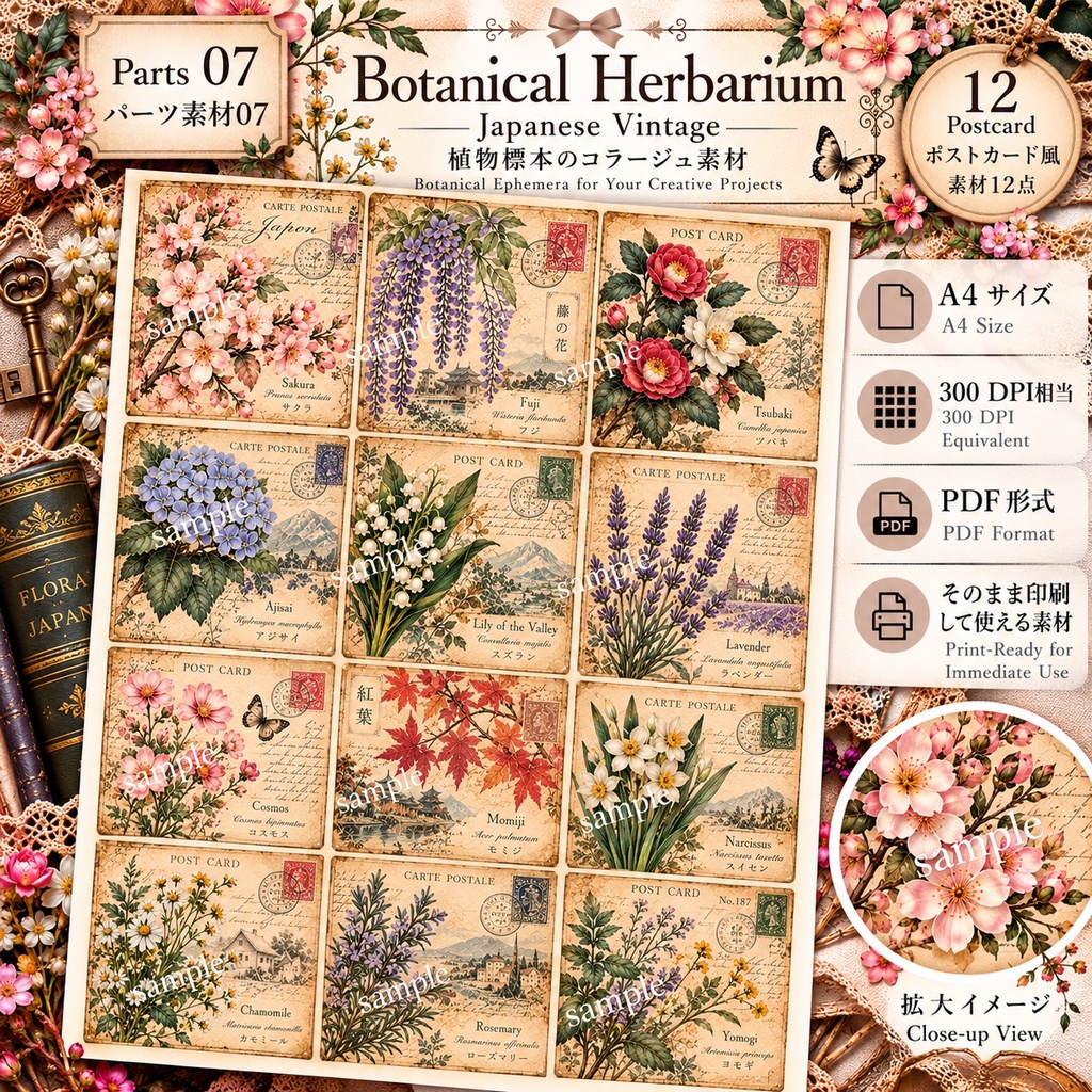 Japanese Botanical & Herbarium|ヴィンテージ植物標本 ジャンクジャーナル素材集