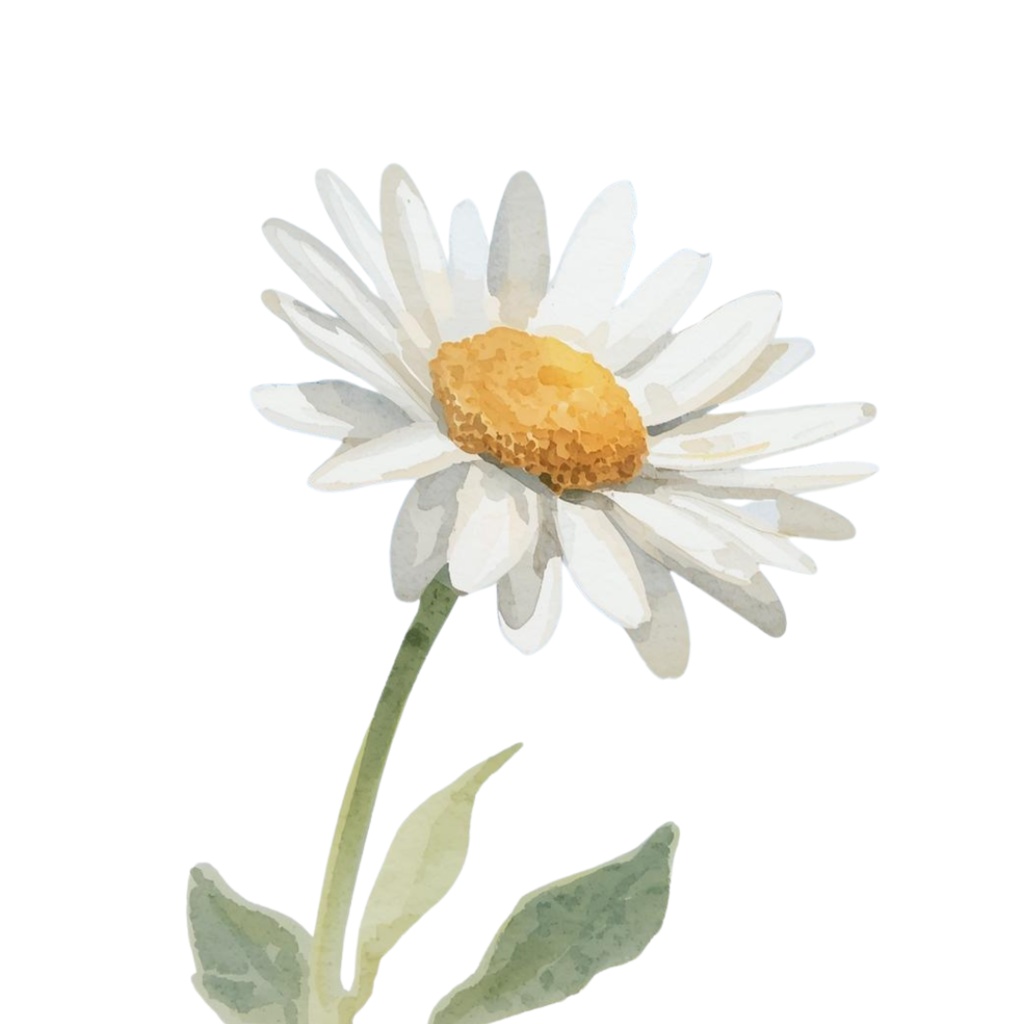 春夏の花 水彩クリップアートセット(12点 PNG透過)|手帳・カード・招待状・デザイン用,Spring & Summer Watercolor Flower Clipart Set (12 PNG Transparent) | Card, Planner, Invitation, Design