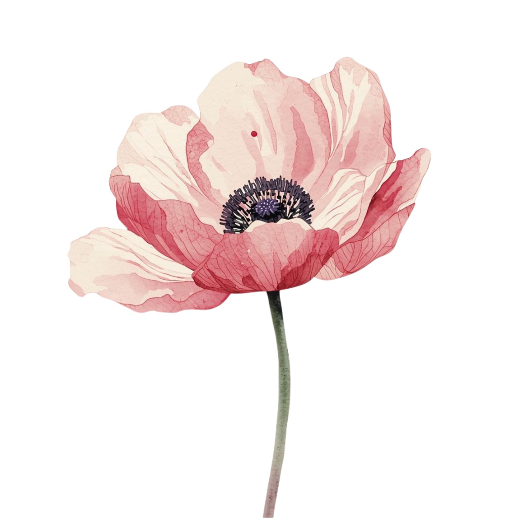 春夏の花 水彩クリップアートセット(12点 PNG透過)|手帳・カード・招待状・デザイン用,Spring & Summer Watercolor Flower Clipart Set (12 PNG Transparent) | Card, Planner, Invitation, Design