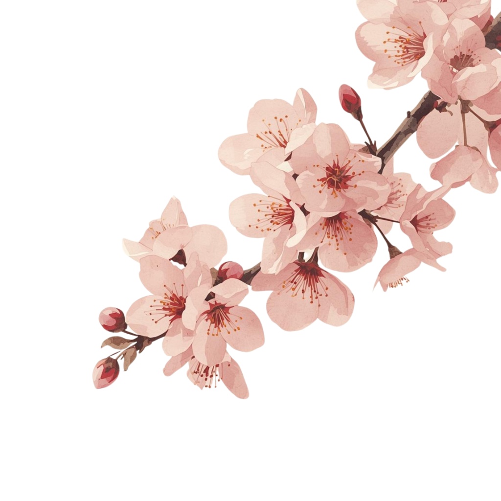 春夏の花 水彩クリップアートセット(12点 PNG透過)|手帳・カード・招待状・デザイン用,Spring & Summer Watercolor Flower Clipart Set (12 PNG Transparent) | Card, Planner, Invitation, Design