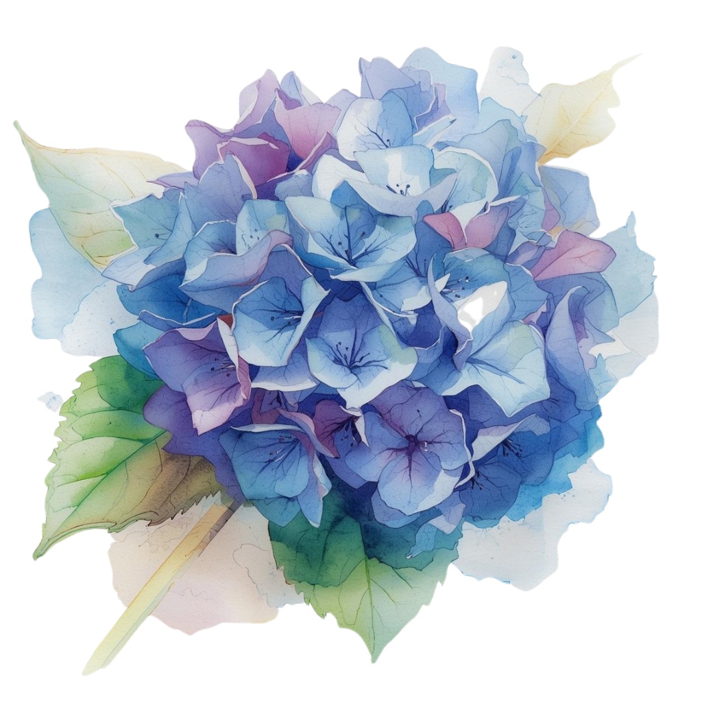 春夏の花 水彩クリップアートセット(12点 PNG透過)|手帳・カード・招待状・デザイン用,Spring & Summer Watercolor Flower Clipart Set (12 PNG Transparent) | Card, Planner, Invitation, Design