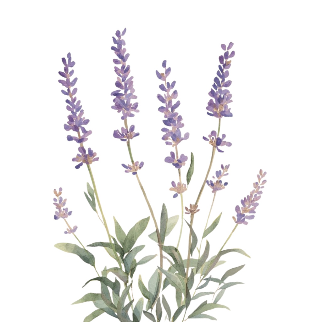 春夏の花 水彩クリップアートセット(12点 PNG透過)|手帳・カード・招待状・デザイン用,Spring & Summer Watercolor Flower Clipart Set (12 PNG Transparent) | Card, Planner, Invitation, Design