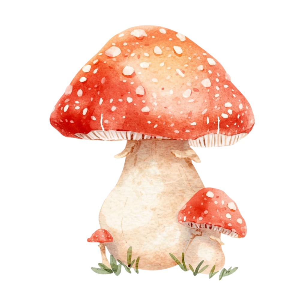 【商用利用OK】🍄 秋の森ときのこ 水彩クリップアート12点|可愛いマッシュルーム PNG Watercolor Mushroom Clipart Set