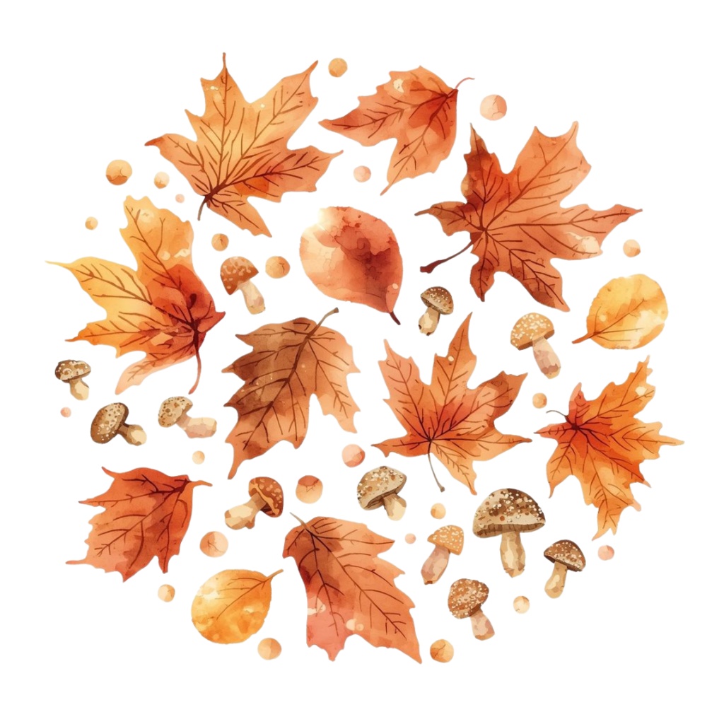 【商用利用OK】🍄 秋の森ときのこ 水彩クリップアート12点|可愛いマッシュルーム PNG Watercolor Mushroom Clipart Set
