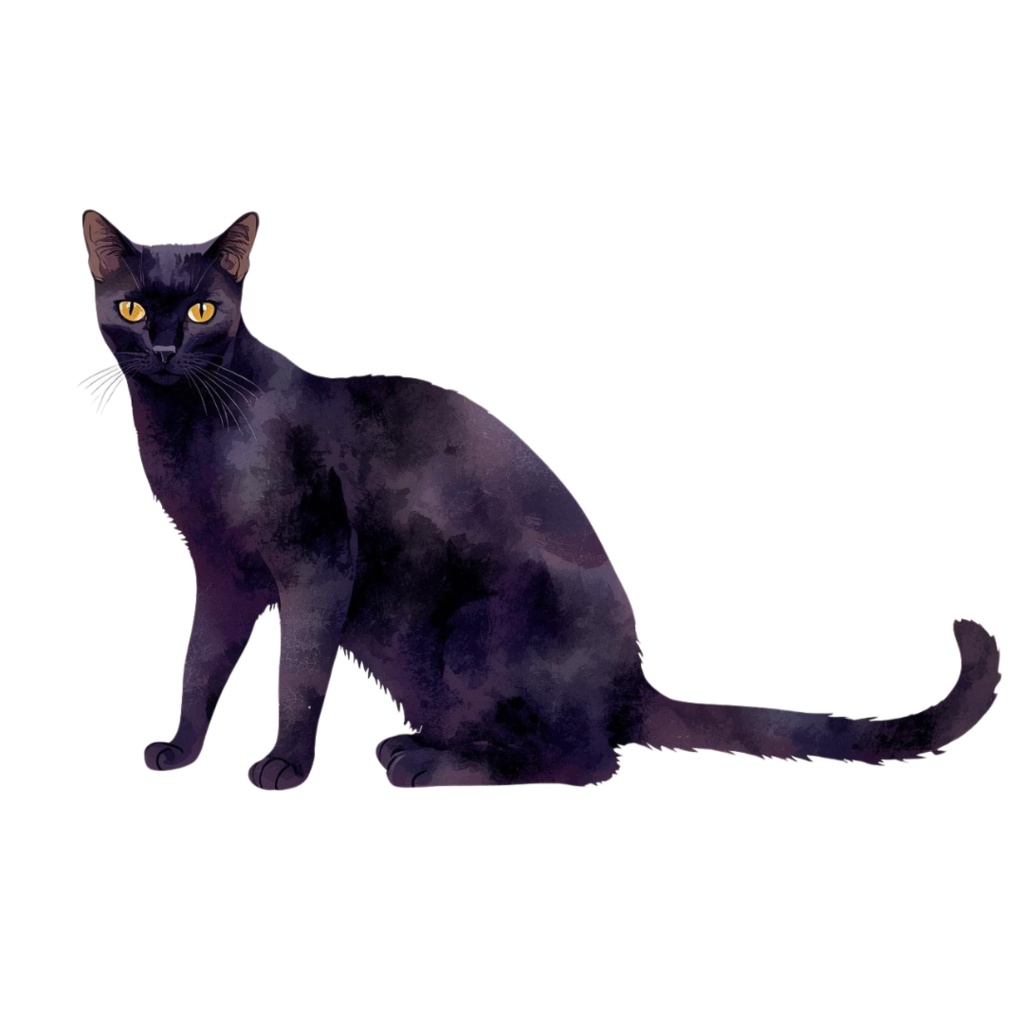 【商用利用OK】🎃 大人かわいいハロウィン 水彩クリップアート12点|パンプキン・キャンドル PNG Elegant Halloween Clipart Set