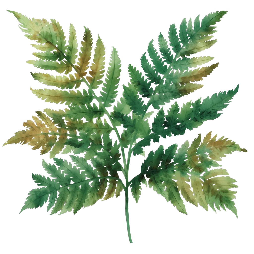 【商用利用OK】🦖 恐竜クリップアート12点 水彩リアル|ティラノサウルス・化石・卵・火山 PNG Dinosaur Watercolor Clipart Set