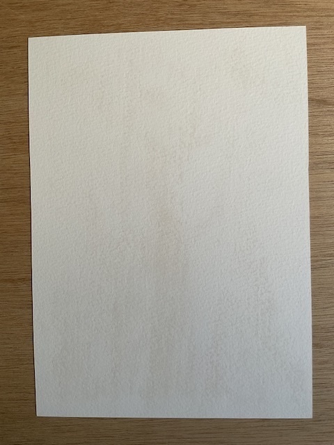 【額装なしアナログ原画】※説明をよくお読みください 花札×阿求