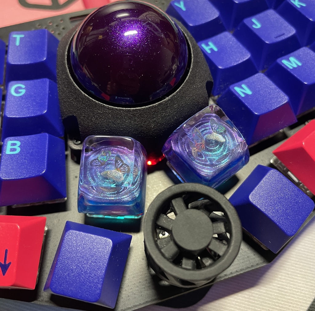 刹那 -蝶の戯れ🦋-