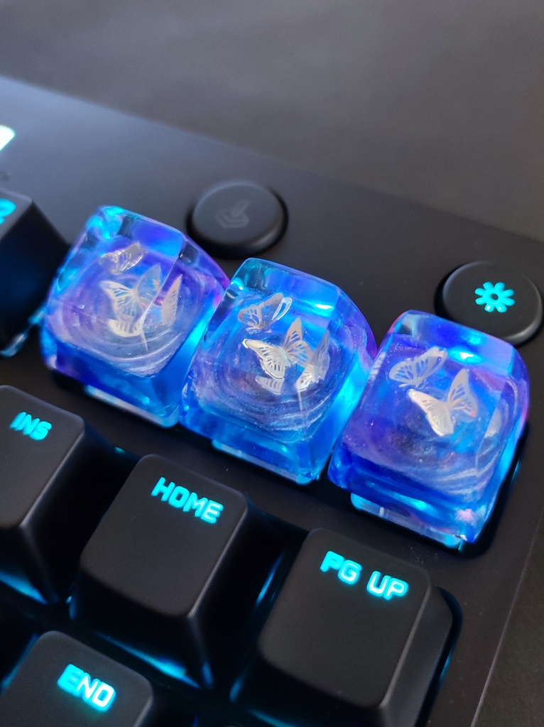 刹那 -蝶の戯れ🦋-