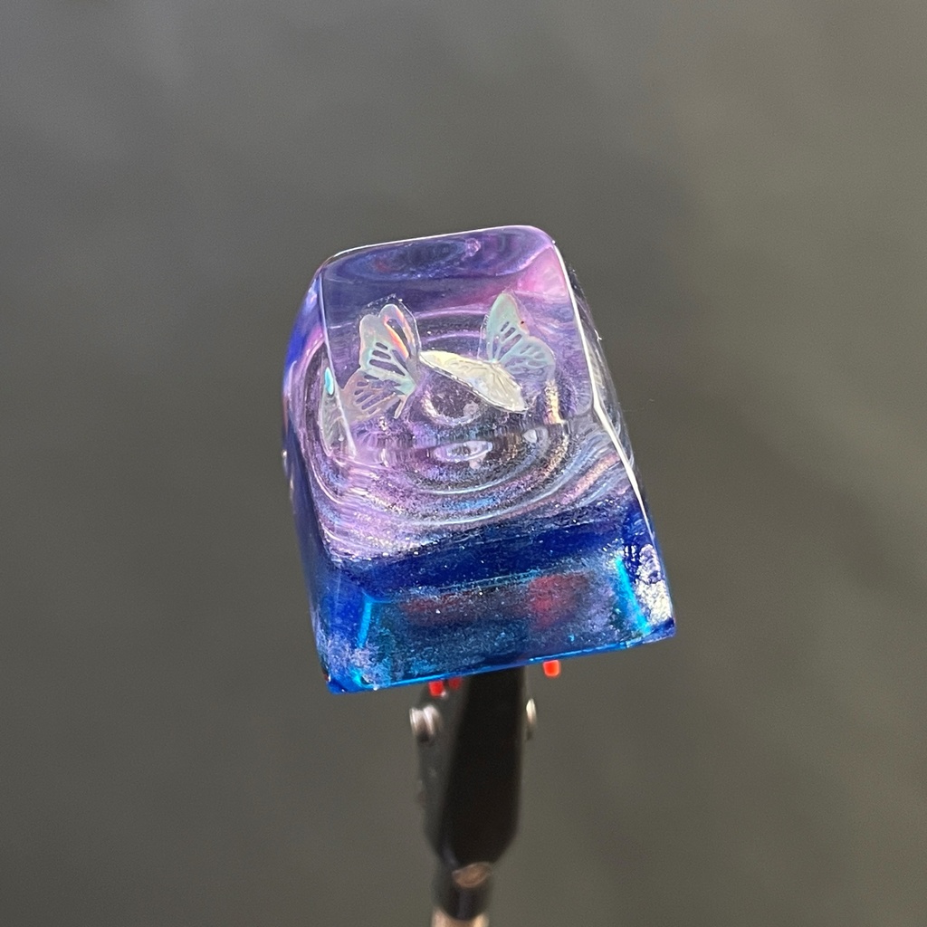 刹那 -蝶の戯れ🦋-