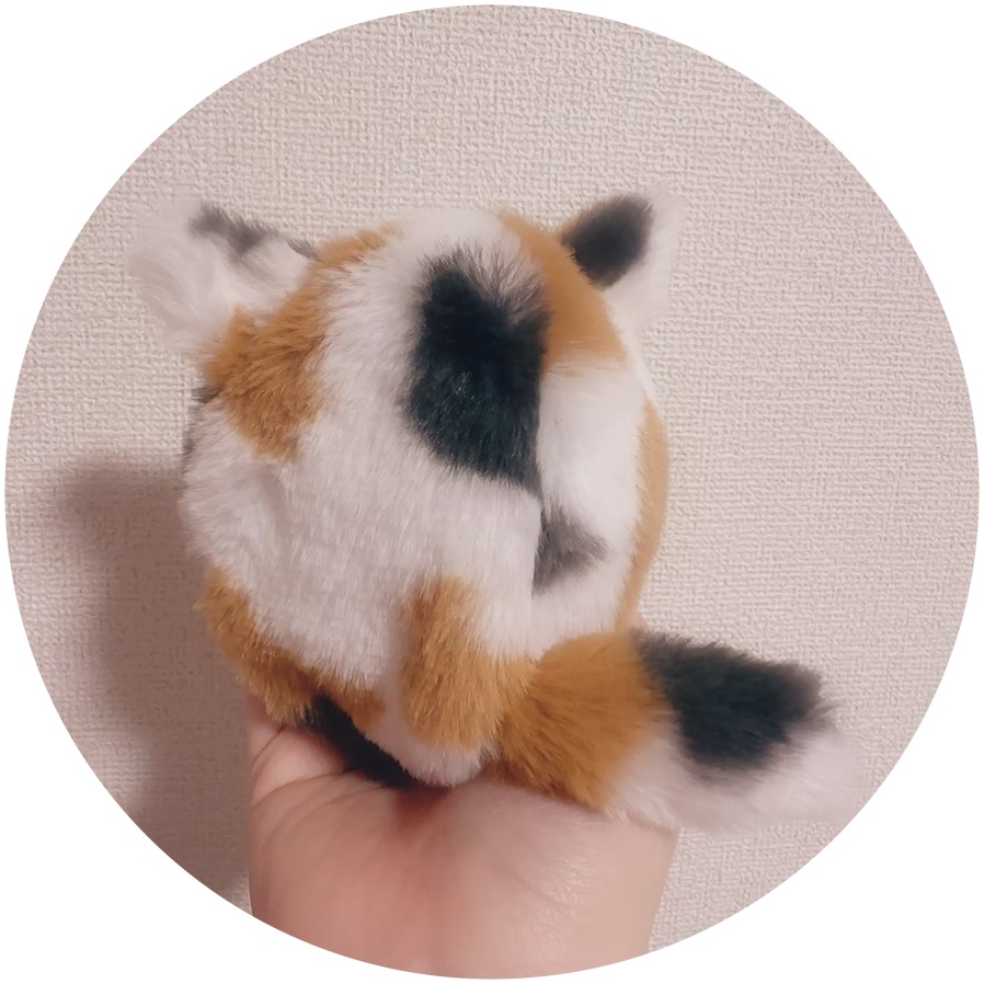 ネコさん(とらねこ、みけねこ)