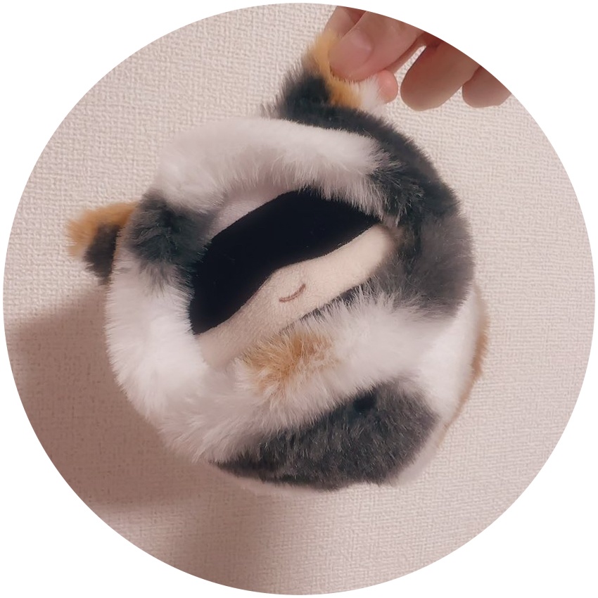 ネコさん(とらねこ、みけねこ)