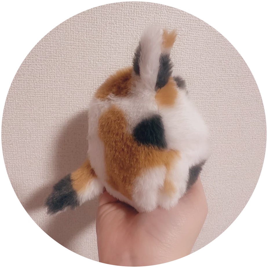 ネコさん(とらねこ、みけねこ)