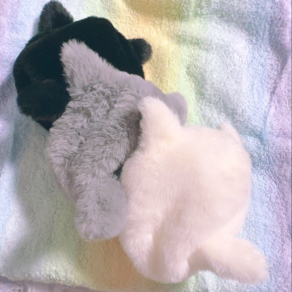 むじねこ