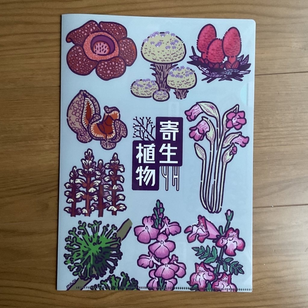 寄生植物クリアファイル