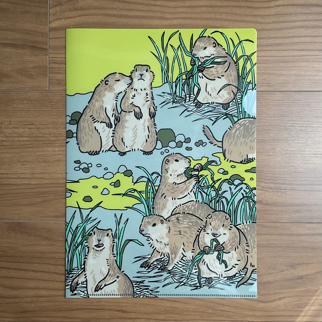 プレーリードッグクリアファイル