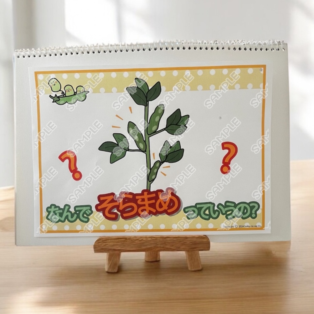 食育 食育 そら豆の話し 春 新年度