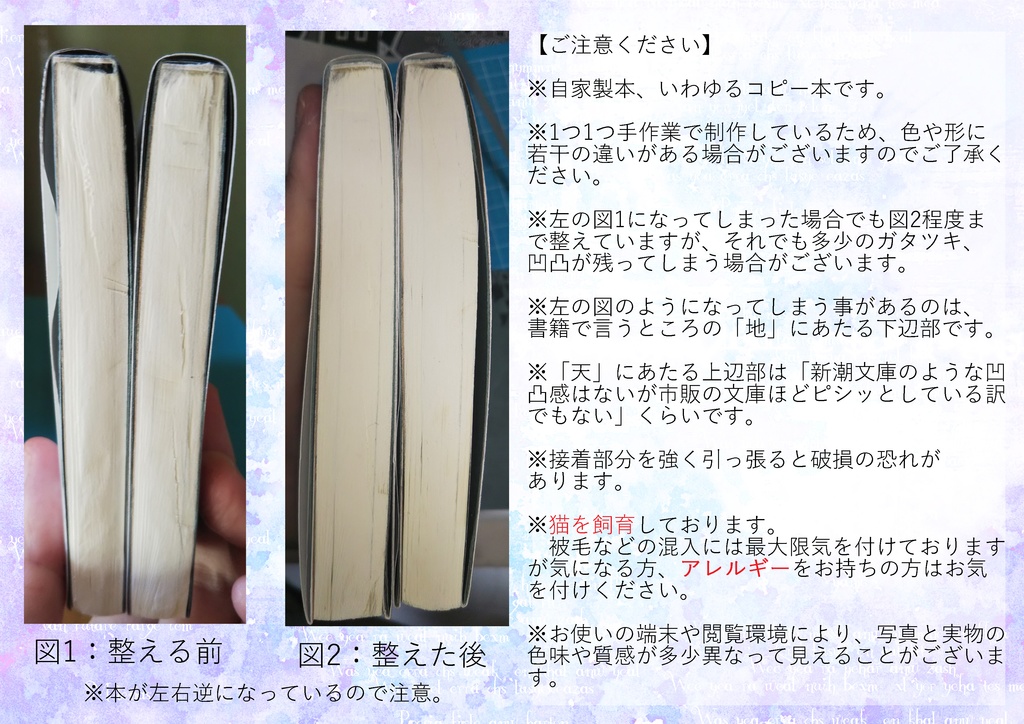 自由の向こう側