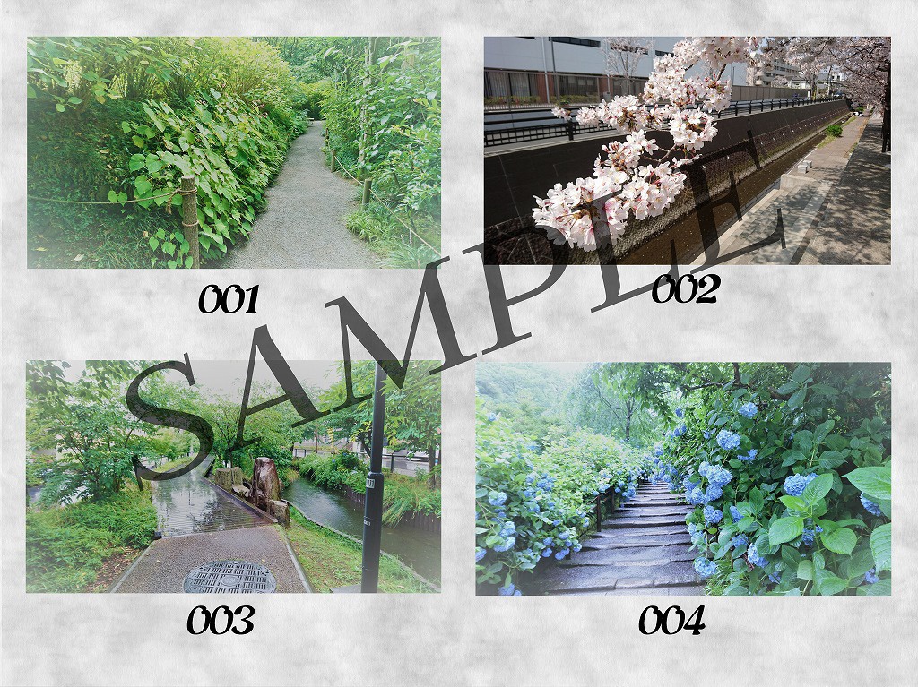 【フリー素材】無料写真素材集【vol.00】